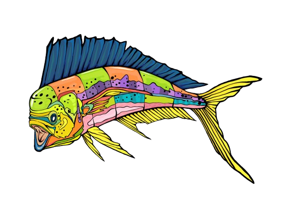Mahi Mahi
